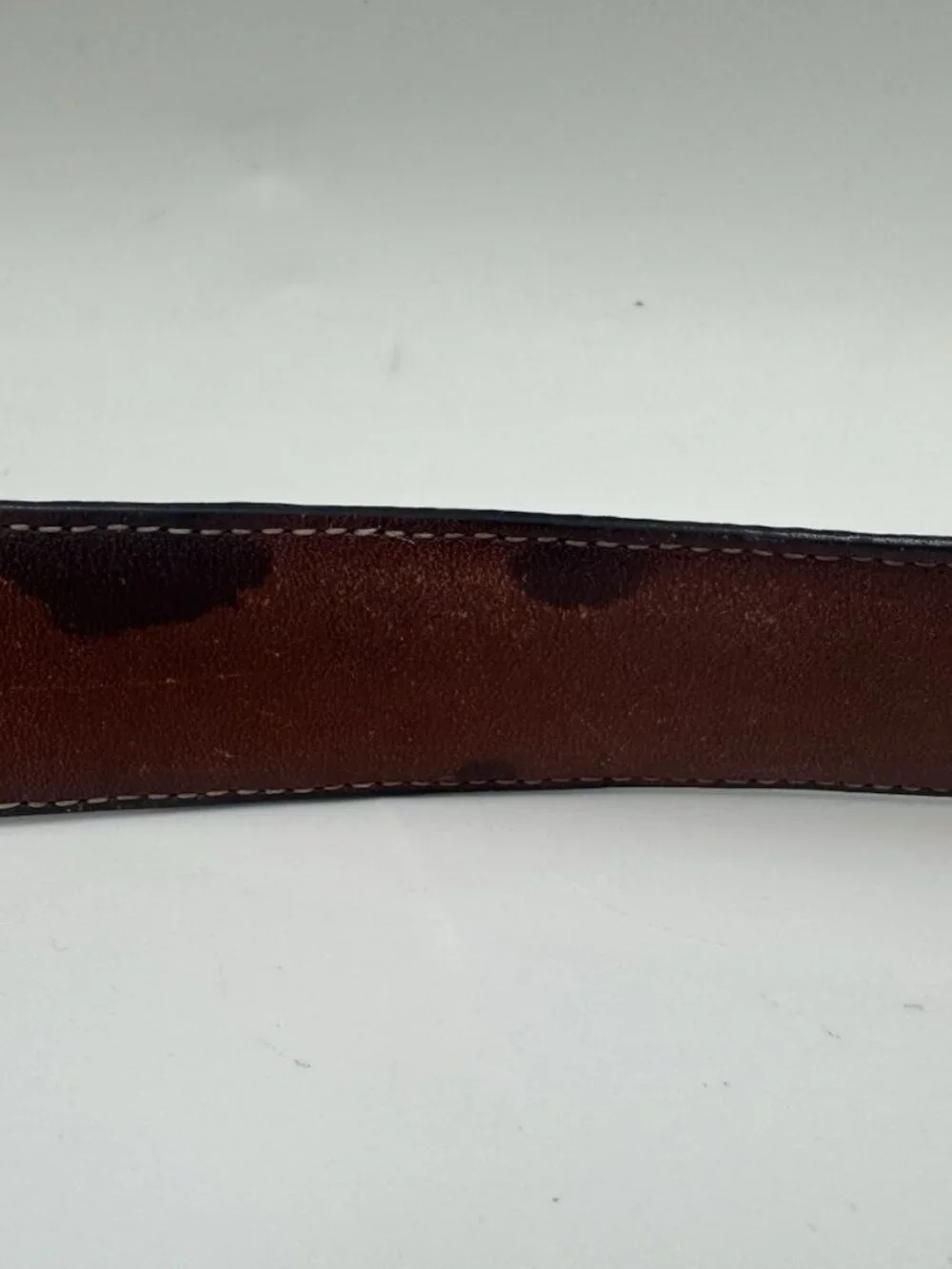Torino Vintage Calcutta Lizard Leather Belt Black